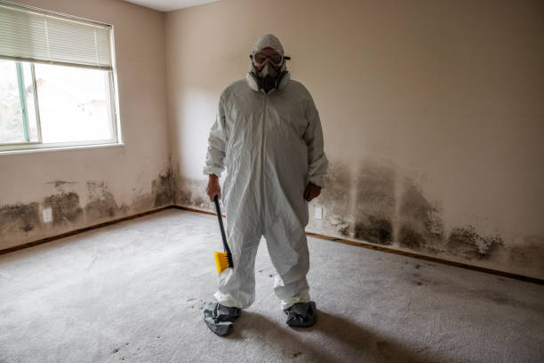 Reliable Gardiner, ME Mold Remediation Solutions